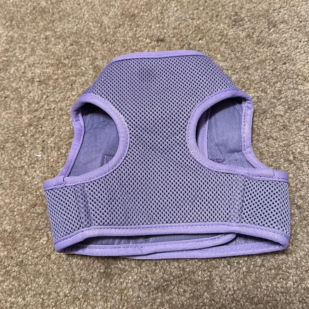 Dog helmet